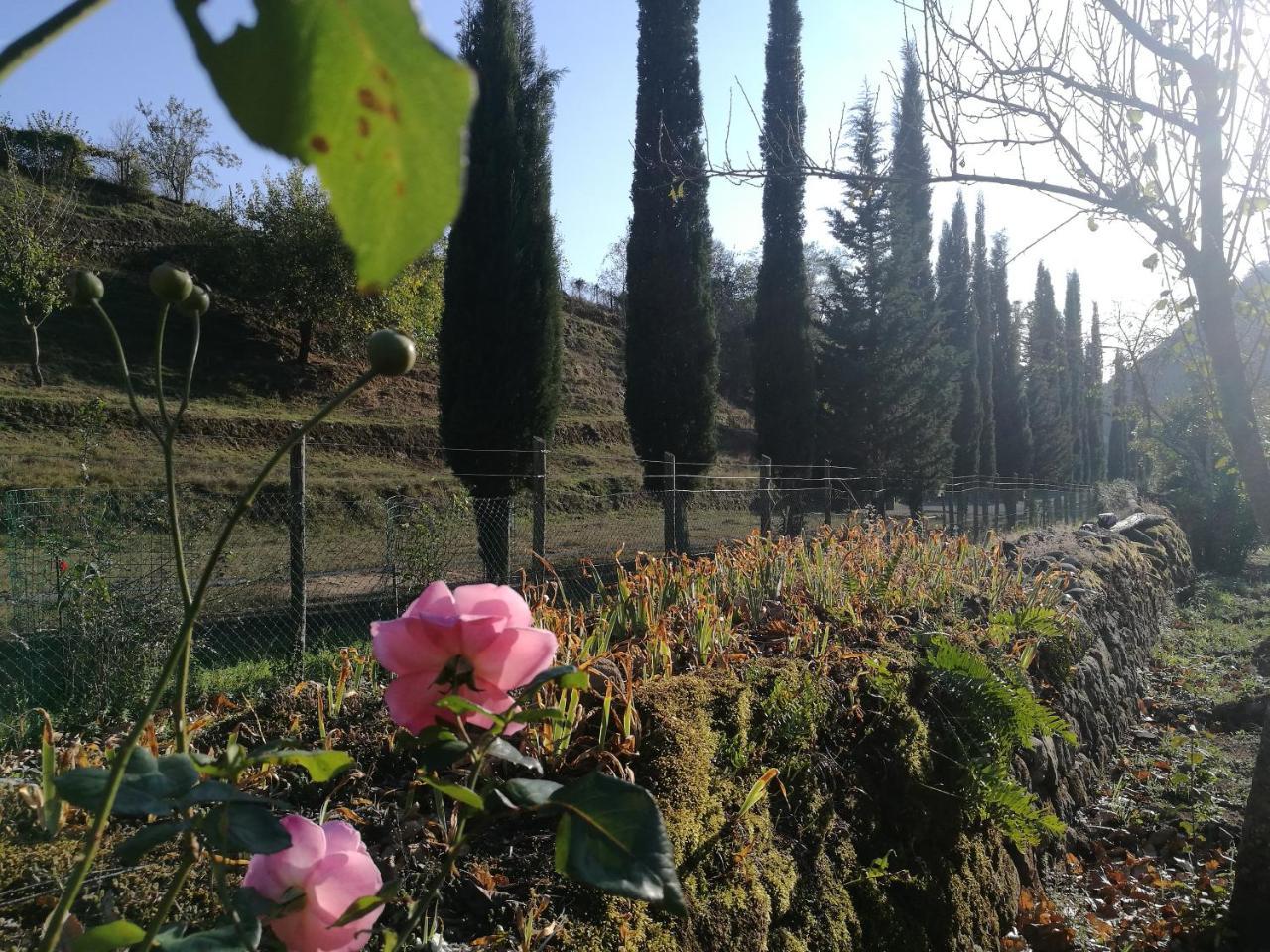 Podere Groppini Fivizzano Exterior photo